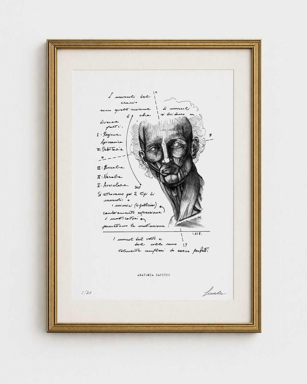 Stampa d'arte "Anatomia Capitis" di Lorenzo Caia con cornice dorata e passepartout bianco, vista frontale su fondo neutro.