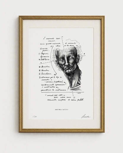 Stampa d'arte "Anatomia Capitis" di Lorenzo Caia con cornice dorata e passepartout bianco, vista frontale su fondo neutro.