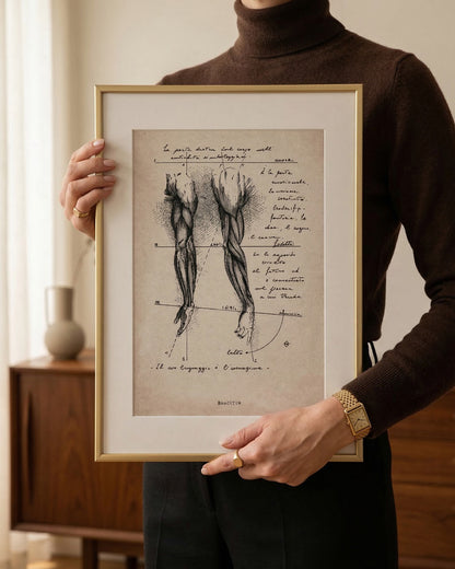 Persona che sorregge l'opera Brachium di Lorenzo Caia incorniciata in oro, dettaglio delle proporzioni e dell'impatto visivo del disegno anatomico.