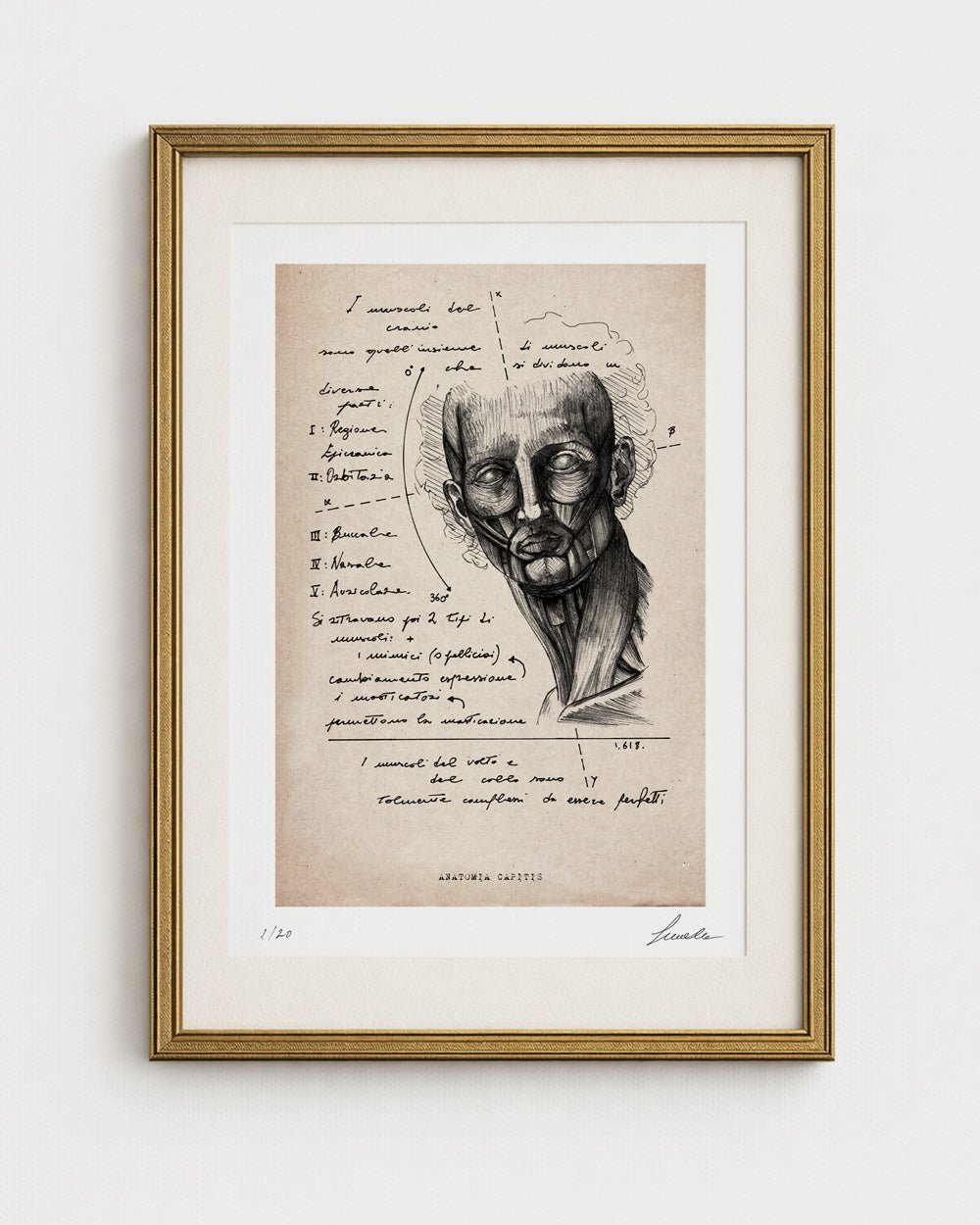 Edizione limitata Lorenzo Caia su carta effetto pergamena con illustrazioni anatomiche e testi d'epoca, incorniciata in oro.