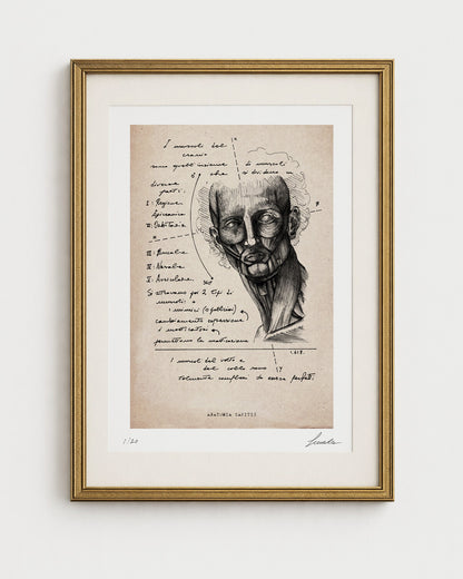 Edizione limitata Lorenzo Caia su carta effetto pergamena con illustrazioni anatomiche e testi d'epoca, incorniciata in oro.