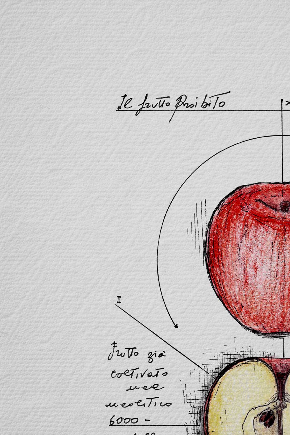 Ink detail Melum - line work precision and white paper texture | Lorenzo Caia
