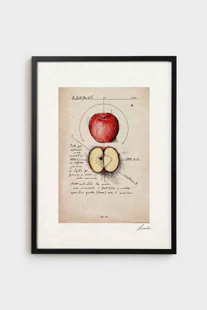 Ink illustration Melum on matter background - archival fine art print | Lorenzo Caia