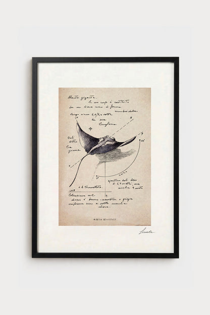 Ink illustration Mobula Birostris on ivory background - archival fine art print with vintage feel | Lorenzo Caia