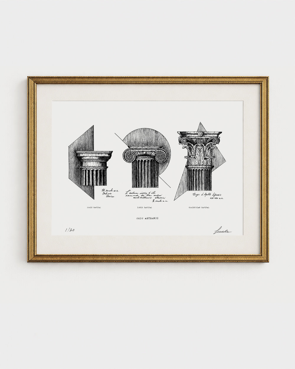 Edizione standard della stampa fine art "Ordo Aeternus" su carta bianca naturale. Illustrazione a china dei tre ordini architettonici classici (dorico, ionico, corinzio), incorniciata in oro. Firmata e numerata 1/20.