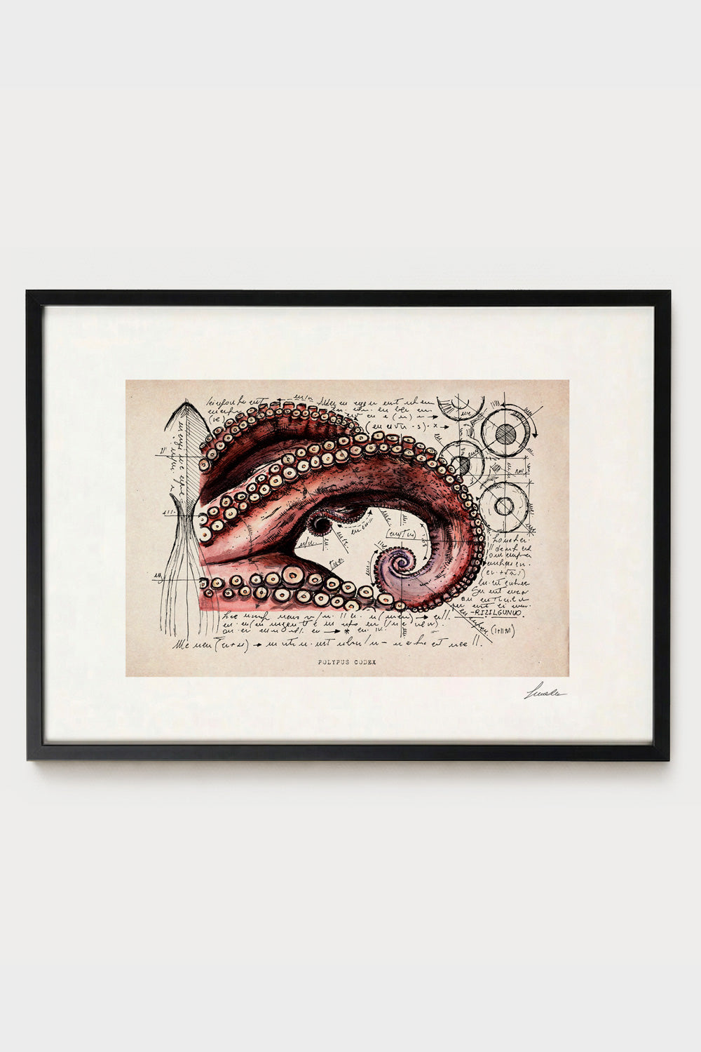 Ink illustration Polypus Codex on ivory background - archival fine art print, vintage scientific style | Lorenzo Caia