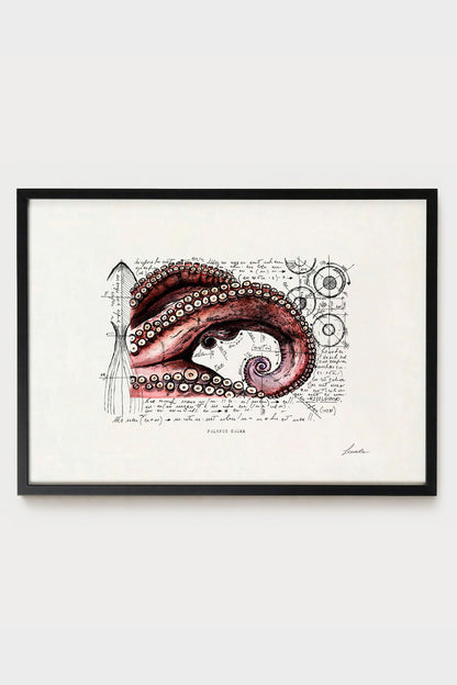 Ink illustration Polypus Codex - fine art print on white background, marine zoology and anatomy diagram | Lorenzo Caia
