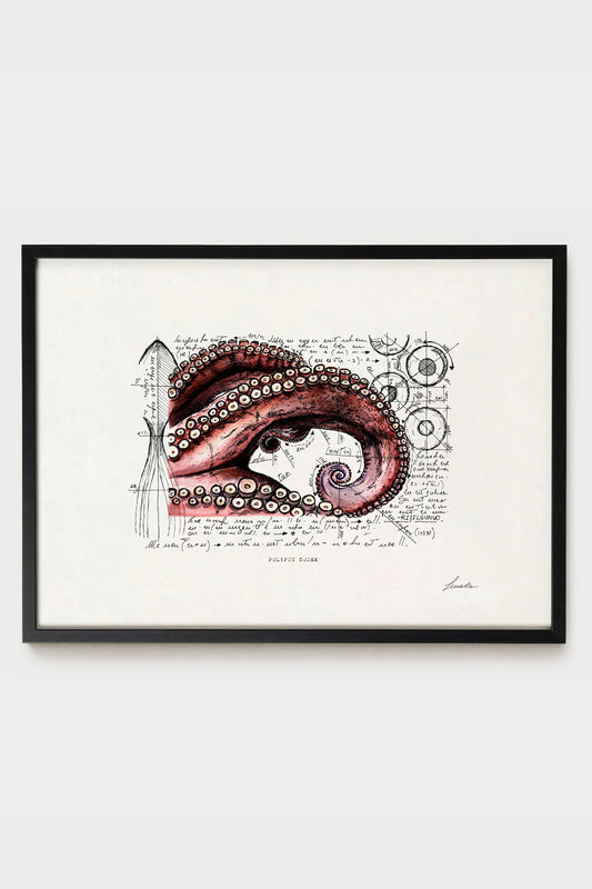 Ink illustration Polypus Codex - fine art print on white background, marine zoology and anatomy diagram | Lorenzo Caia