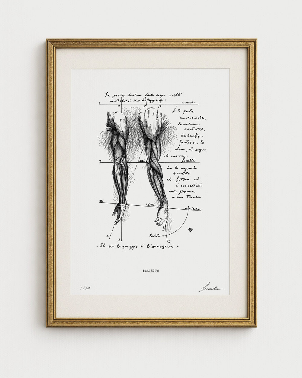 Opera Brachium di Lorenzo Caia, stampa fine art su carta bianca di pregio con cornice elegante, ideale per collezionisti d'arte contemporanea.