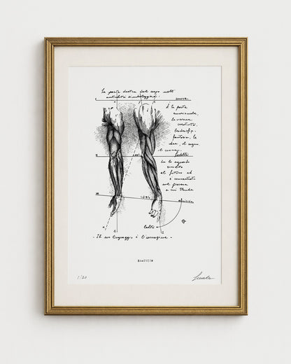 Opera Brachium di Lorenzo Caia, stampa fine art su carta bianca di pregio con cornice elegante, ideale per collezionisti d'arte contemporanea.