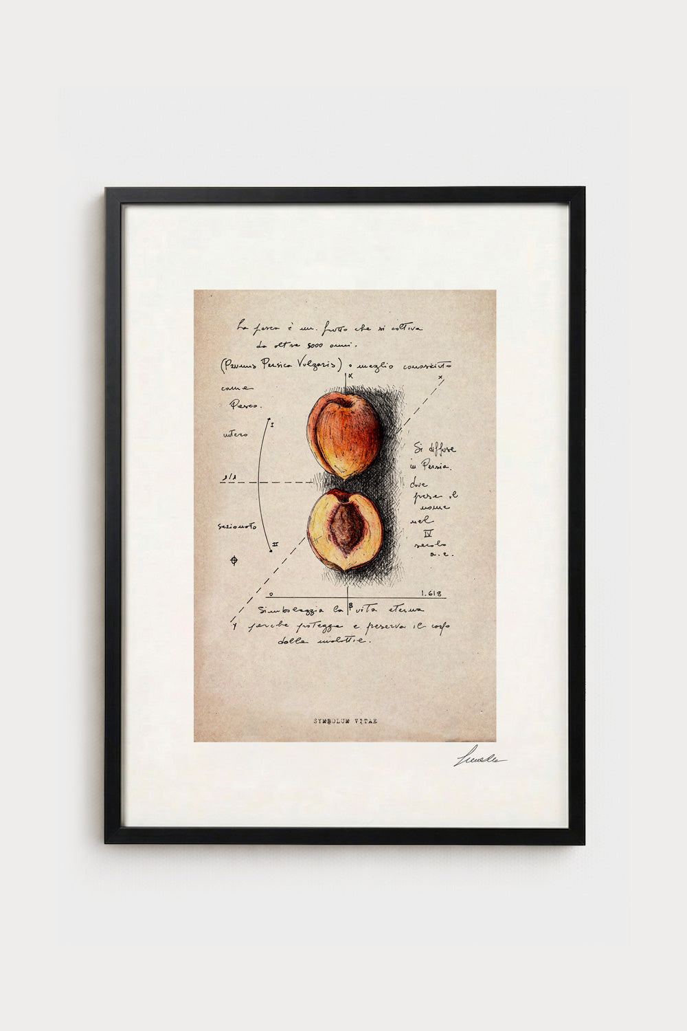 Ink illustration Symbolum Vitae on ivory background - archival fine art print, peach drawing | Lorenzo Caia