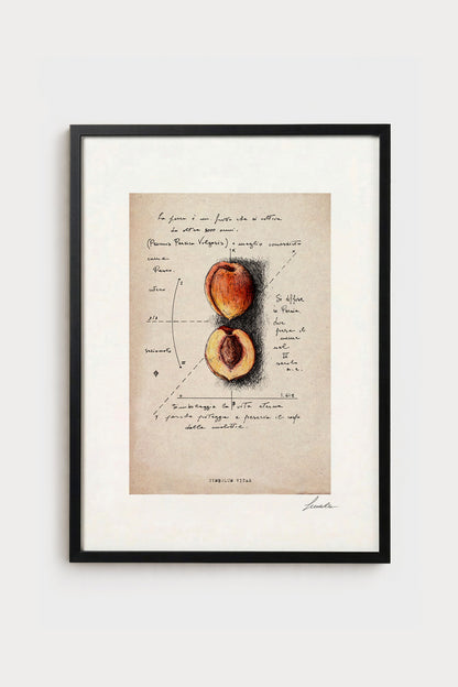 Ink illustration Symbolum Vitae on ivory background - archival fine art print, peach drawing | Lorenzo Caia