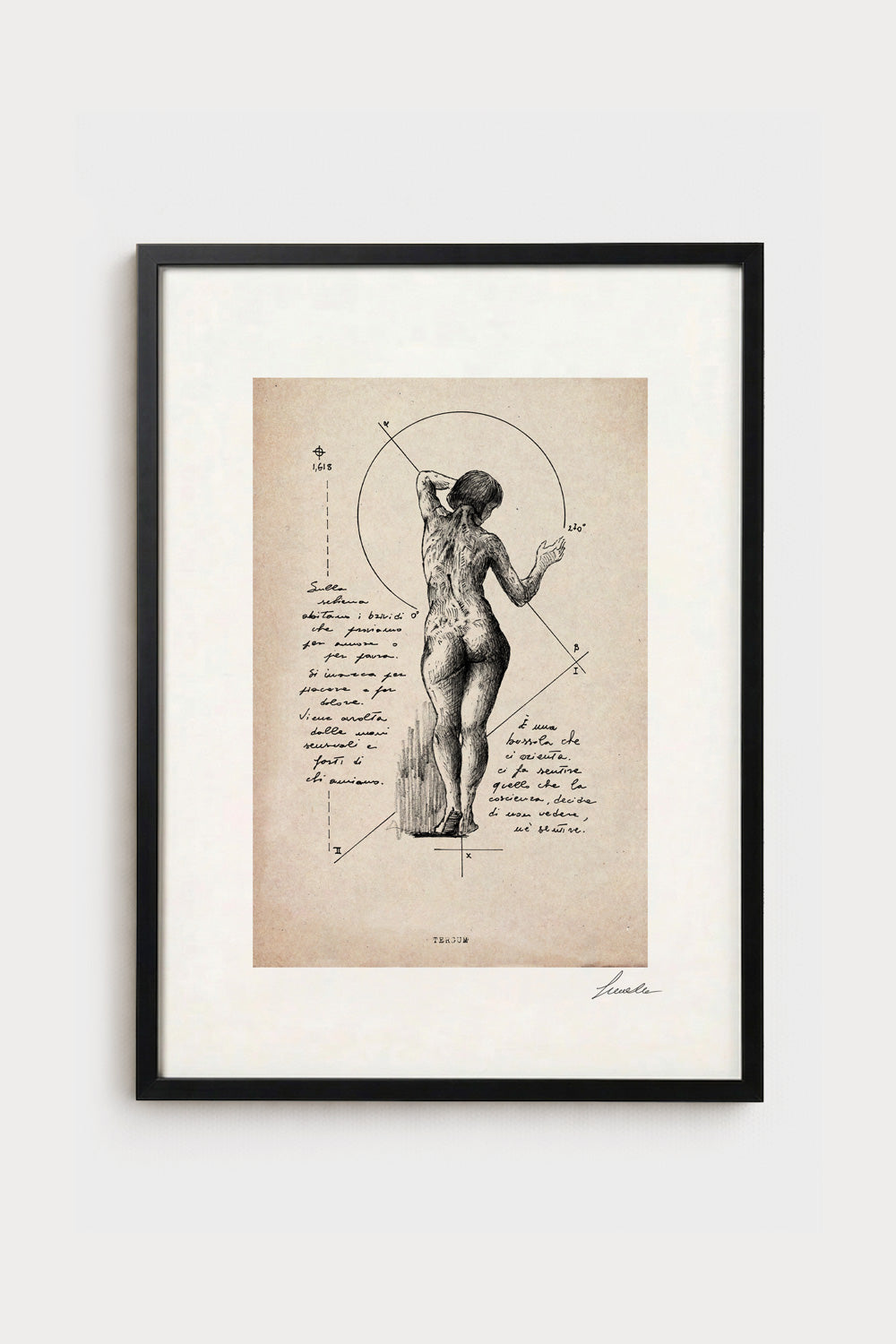 Ink illustration Tergum on ivory background - archival fine art print, back anatomy drawing | Lorenzo Caia