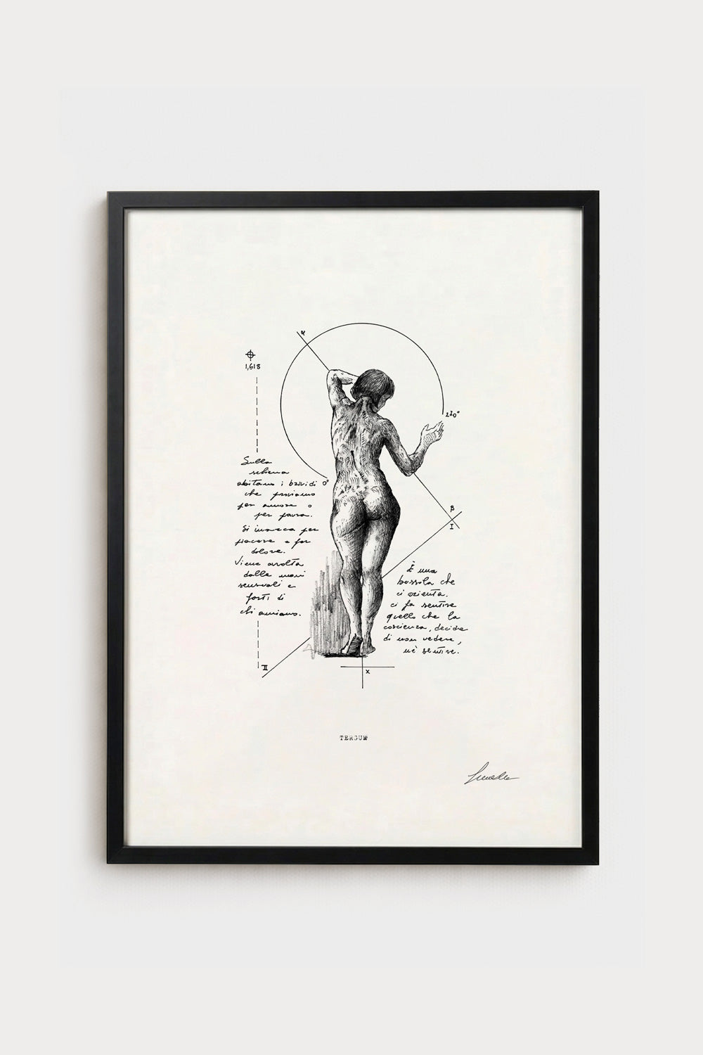 Ink illustration Tergum - fine art print on white background, human back anatomy diagram | Lorenzo Caia