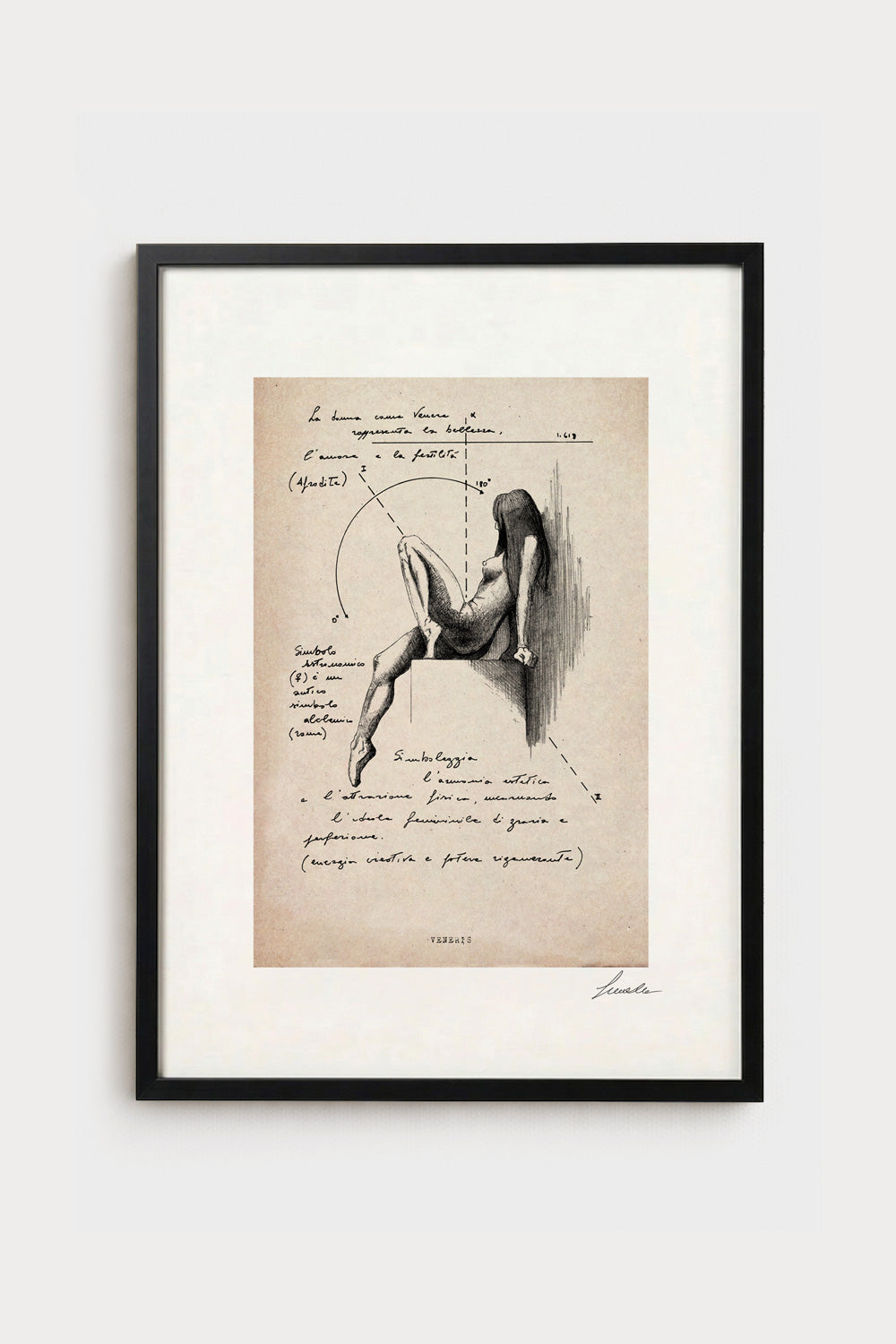 Ink illustration Veneris on ivory background - archival fine art print, female figure diagram | Lorenzo Caia