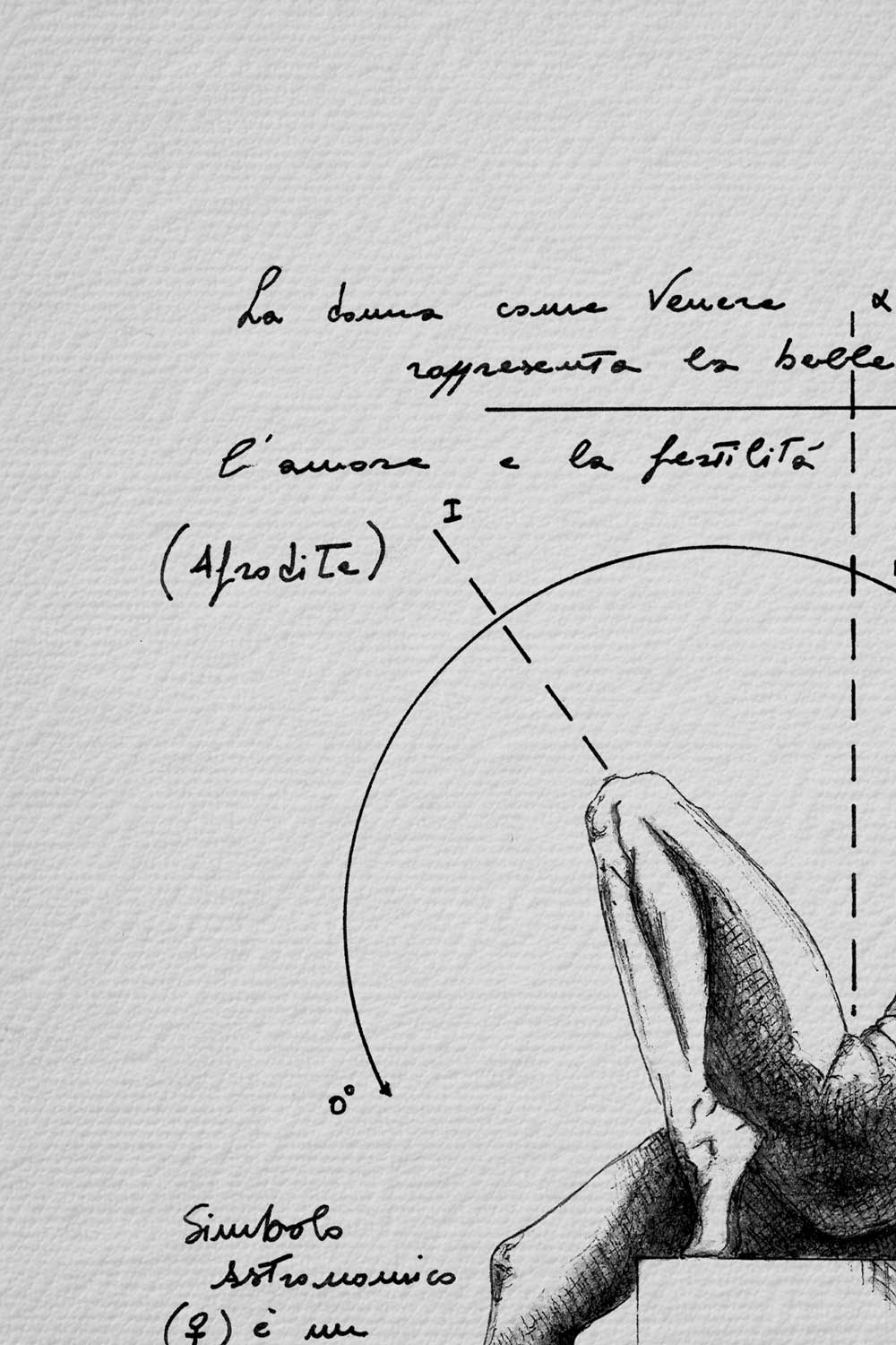 Ink detail Veneris - calligraphy and geometric diagram on bright white paper | Lorenzo Caia